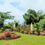 Anhta_Banner-Image-05